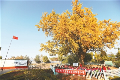 壽光：勾勒“文明實踐版圖”,，延伸“幸福生活半徑”