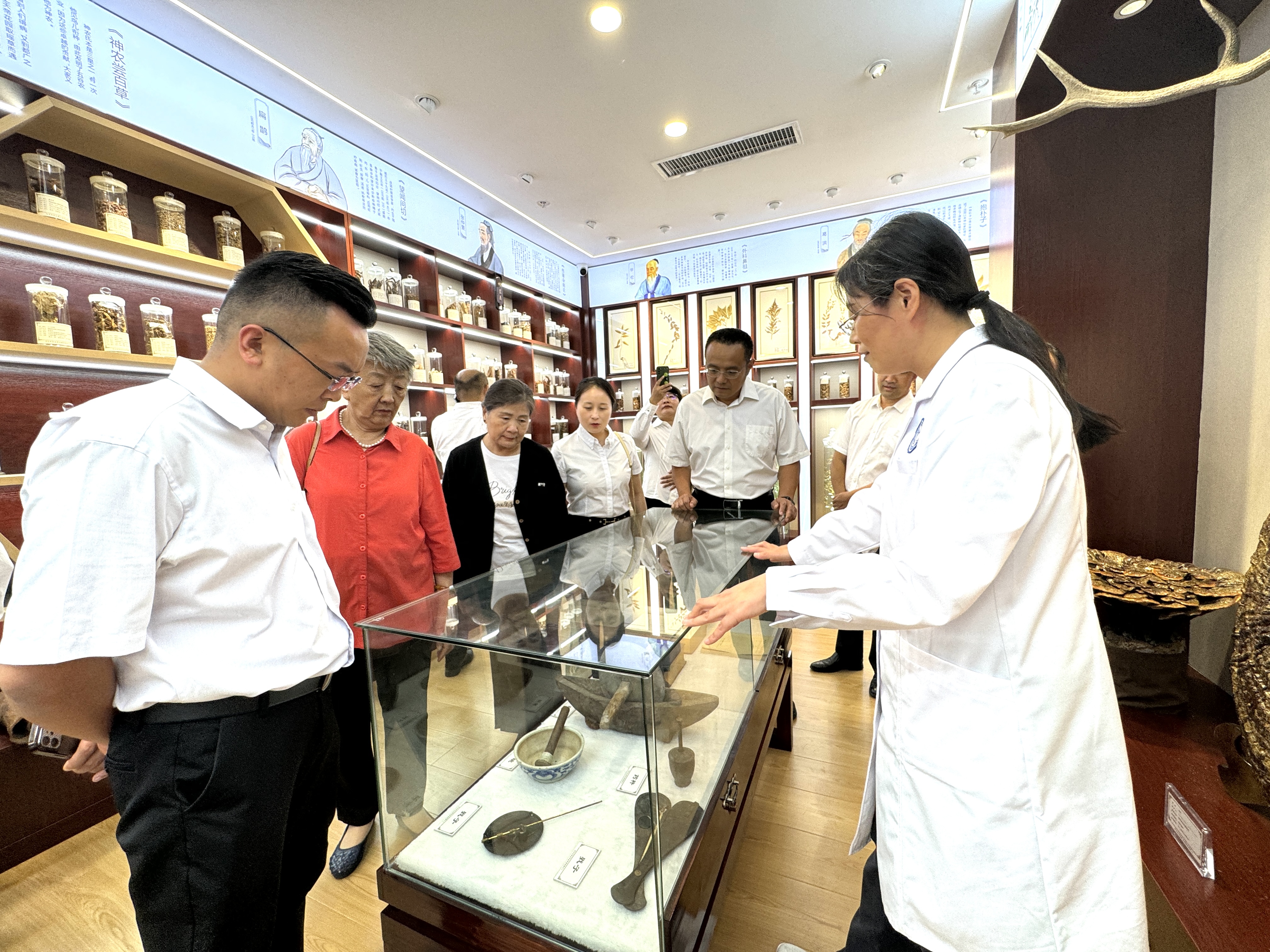 同心傳承岐黃薪火  攜手關(guān)注食藥安全——九三學(xué)社社員走進(jìn)市食品藥品安全科普工作室 參觀(guān)體驗(yàn)