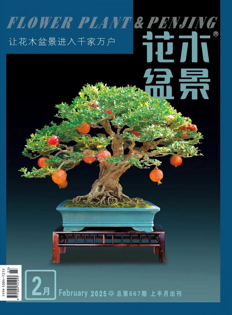 贊,！棗莊石榴盆景登上國(guó)家級(jí)專業(yè)雜志封面
