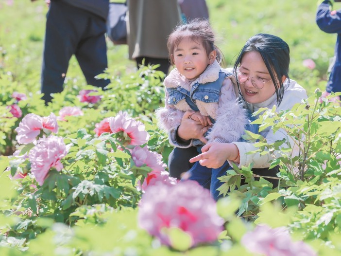 踏青賞花 樂享春光