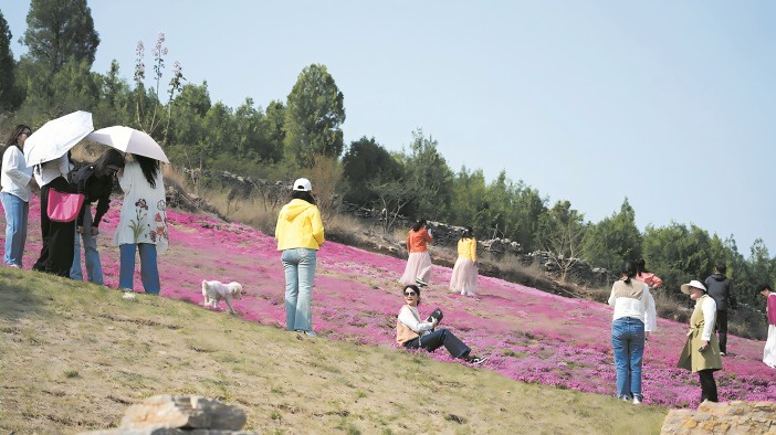 花海美景引客來